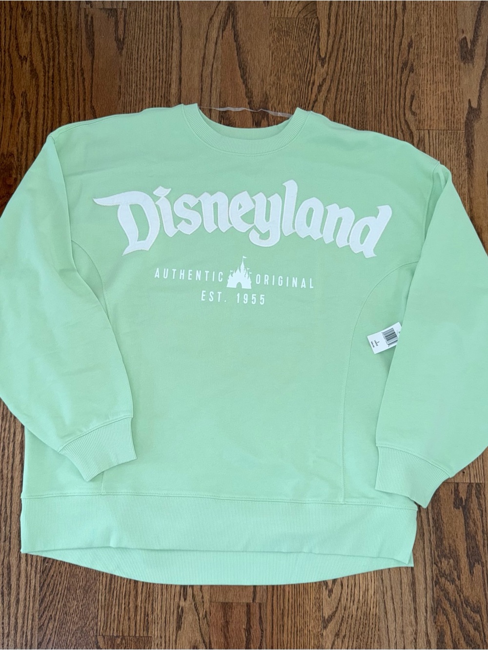 Disneyland Mint Green Crewneck Sweatshirt L NWT Appliqué Logo